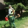 Radnici Parka za osam sedmica akcije uredili ukupno 74 naselja i ulice