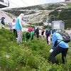 Vrijedni volonteri čistili ski stazu na Bjelašnici