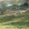 Ograđeno mjesto gdje je izvučeno tijelo Davida Dragičevića u Banjoj Luci