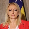 Pandurević: Tegeltijin zet da objasni odakle mu novac za kupnju firme "Energoinvest-RAOP"