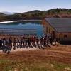 Jahorinski alpine coaster najatraktivniji ljetni sadržaj u regionu, posjetitelji čekaju u redu