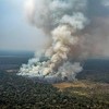 Požari u Amazonskoj prašumi ostavljaju pustoš: Sve što vidite je smrt
