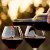 Zašto bi crno vino moglo biti dobro za vaša crijeva