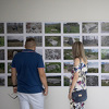 Predstavljeni rezultati projekta "U kamenu uklesano": BiH ima više od 60 hiljada stećaka