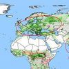 NASA otkrila da je Zemlja zbog Kine i Indije danas zelenija nego prije 20 godina