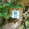 Skakavac Trail i Olimpijski komitet građanima s ljubavlju poklanjaju najljepše sarajevske staze