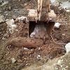 Građani upozoreni da se udalje od prozora uoči deaktiviranja treće aviobombe u Sarajevu