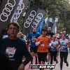 Sve je spremno za treću AUDI B2B RUN utrku na Vilsonovom šetalištu