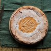 Bezglutenski tart od oraha - jesenja poslastica za pola sata