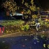 Olujno nevrijeme u Novoj Gradišci, stabla padala na automobile