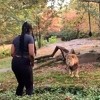 Identifikovana Amerikanka koja je preskočila ogradu u zoološkom vrtu i plesala ispred lava