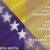 Bogat program i brojni gosti na svečanoj proslavi Dana državnosti BiH u Švicarskoj