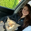 Djevojka povrijeđenog psa lutalicu odvela veterinaru, otkrili joj da je riječ o kojotu
