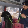 U Foči priveden granični policajac zbog krijumčarenja migranata