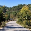Na trebevićkom izletištu Brus konj ujeo ženu dok je šetala s bebom u kolicima