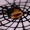 Halloween palačinke za zanimljiv doručak, ručak ili večeru