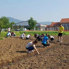 Mladi Žepča zajedno čistili Bosnu i pravili kozmetiku od ljekovitog bilja