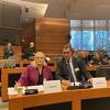 Sarajlić: Brisel očekuje da se što prije formiraju Vijeće ministara i Vlada FBiH