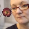 Dizajnerica Sunita uspijeva zauvijek sačuvati cvijeće u originalnom nakitu Flora