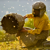 Makedonski film "Honeyland" u užem izboru za nagradu Oscar u dvije kategorije