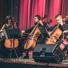 Koncertna turneja orkestra violončela iz Sarajeva u Bratislavi