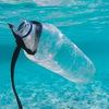 Zabrana plastičnih vreća može dodatno oštetiti životnu sredinu