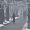 Smog štetno djeluje na respiratorni trakt, ali i na cijeli organizam