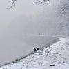 Nadležni u Sarajevu naveli probleme koji ih sprečavaju u rješavanju problema zagađenja