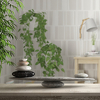 Feng shui: U čemu je tajna ove tehnike i kako pomoću nje "srediti" život