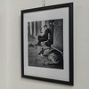 U sarajevskom samostanu Sv. Anto otvorena humanitarna izložba  "Empatija"