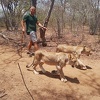 Priča Ajdina Zekića, mladog sarajevskog pustolova: Afričko putovanje od 5.000 kilometara