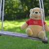 15 stvari koje sigurno niste znali: Veliki prasak vidi se na TV-u, a Winnie Pooh je žensko