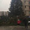 Snažno nevrijeme u Sarajevu: Vjetar obarao stabla i skidao krovove
