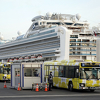 Crnogorac koji je bio na kruzeru Diamond Princess zaražen koronavirusom