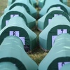 Još nije donesena odluka o ukopu NN žrtava genocida u Srebrenici