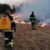 Vatrogasci od vatre spasili azil za napuštene pse na području Livna