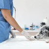 Veterinar tvrdi da prije eutanazije ljubimci panično rade ovo