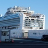 Prva žrtva koronavirusa u Australiji: Umro putnik sa kruzera Diamond Princess