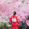Japanci otkazali festival trešnje zbog straha od koronavirusa