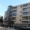 Zeničanka lažno prijavila da je muškarac seksualno zlostavljao psa lutalicu