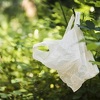 Zašto su cekeri odličan izbor i alternativa plastičnim vrećicama?