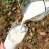 Mučnina, akne i srčani problemi su neželjeni efekti prekomjernog konzumiranja mlijeka