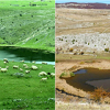 Blatačko jezero na Bjelašnici koje je nekada napajalo hiljade grla stoke broji posljednje dane