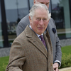Princ Charles odgodio posjetu BiH zbog koronavirusa