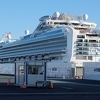 Vratio se bh. državljanin koji je bio na kruzeru "Diamond Princess", nije zaražen