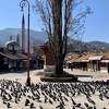 Vrane, psi lutalice i tišina: Sarajevo je danas sablasno pusto