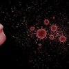 Američko istraživanje otkriva kada bi pandemija koronavirusa mogla biti završena