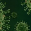 Australski naučnici pokušavaju utvrditi da li se može steći imunitet na koronavirus