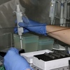 Časna sestra iz Čitluka zaražena koronavirusom, bila u Domu zdravlja Ljubuški