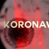 Specijalni dokumentarni film “Koronavirus” u nedjelju na Novoj BH